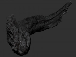 3d scan of tree trunk in highpoly Modelo 3D