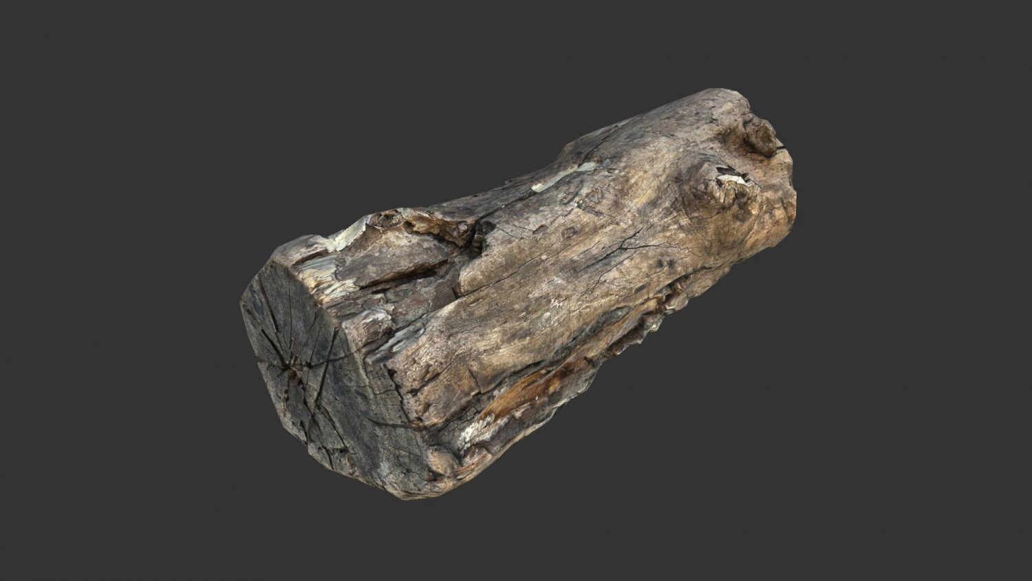 A realistic section of tree trunk 3D Model .c4d .max .obj .3ds .fbx .stl .blend 