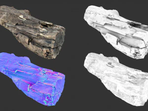 A realistic section of tree trunk 3D Model