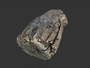 A realistic section of tree trunk 3D Model