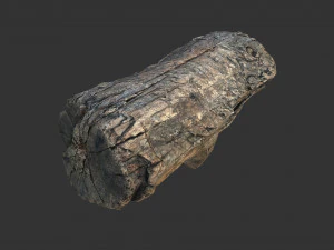 A realistic section of tree trunk 3D Model