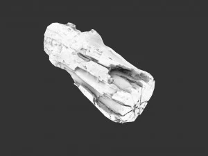 A realistic section of tree trunk 3D Model