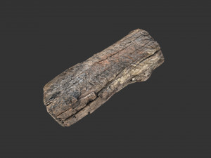 A realistic section of tree trunk 3D मॉडल