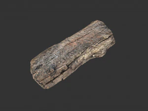 A realistic section of tree trunk 3D Model