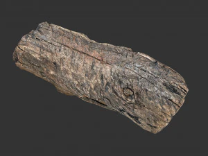 A realistic section of tree trunk 3D Model