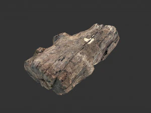 A realistic section of tree trunk 3D Model