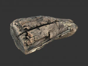 A realistic section of tree trunk 3D Model