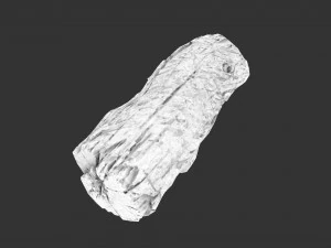 A realistic section of tree trunk 3D Model