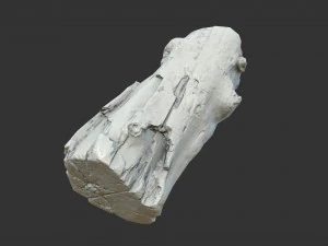 A realistic section of tree trunk 3D Model