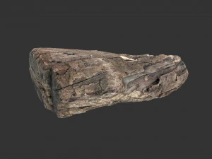 A realistic section of tree trunk 3D Model