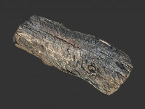 A realistic section of tree trunk 3D Model