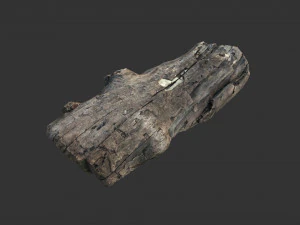 A realistic section of tree trunk 3D Model