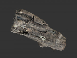 A realistic section of tree trunk 3D मॉडल