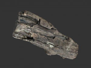 A realistic section of tree trunk 3D Model