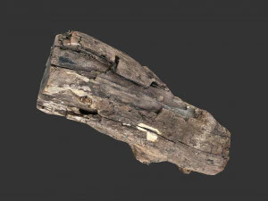 A realistic section of tree trunk 3D Model