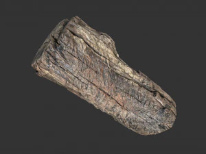 A realistic section of tree trunk 3D Model