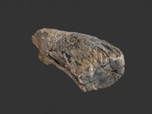 A realistic section of tree trunk 3D Model
