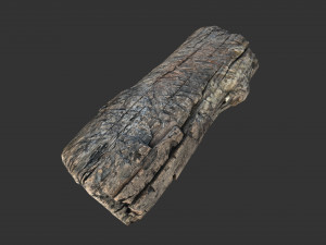 A realistic section of tree trunk 3D मॉडल