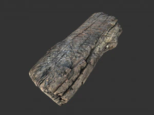 A realistic section of tree trunk 3D Model