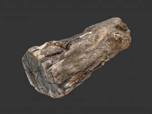 A realistic section of tree trunk 3D Model