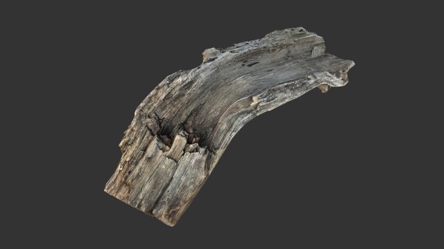 A realistic section of tree trunk 3D Model .c4d .max .obj .3ds .fbx .stl .blend 