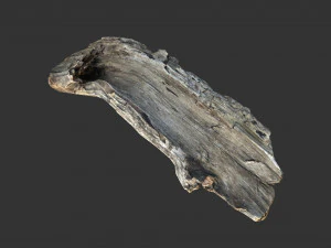 A realistic section of tree trunk 3D Model