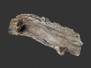 A realistic section of tree trunk 3D Model