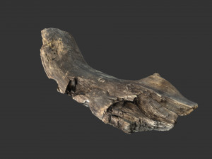A realistic section of tree trunk 3D Model