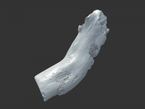 A realistic section of tree trunk 3D Model