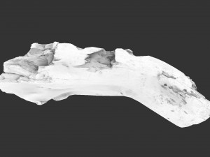 A realistic section of tree trunk 3D Model