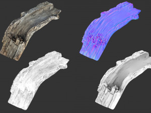 A realistic section of tree trunk 3D Model