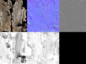 A realistic section of tree trunk 3D Model