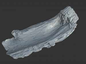 A realistic section of tree trunk 3D Model