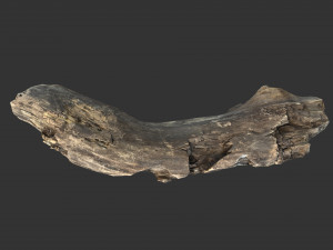 A realistic section of tree trunk 3D Model