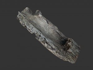 A realistic section of tree trunk 3D Model