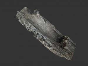 A realistic section of tree trunk 3D Model