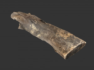 A realistic section of tree trunk 3D Model