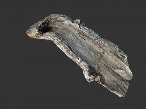 A realistic section of tree trunk 3D Model