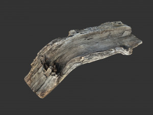 A realistic section of tree trunk 3D Model