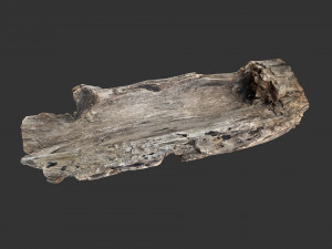 A realistic section of tree trunk 3D Model