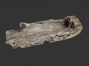 A realistic section of tree trunk 3D Model