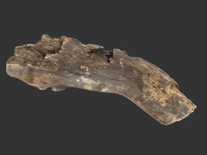 A realistic section of tree trunk 3D Model