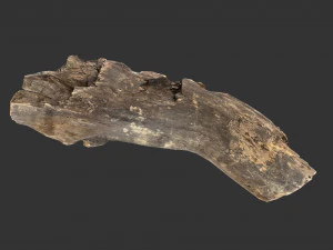 A realistic section of tree trunk 3D Model