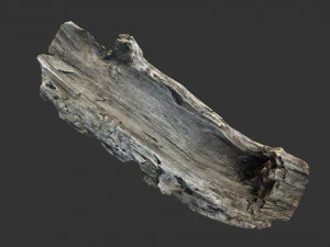 A realistic section of tree trunk 3D Model