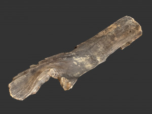 A realistic section of tree trunk 3D Model