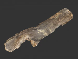 A realistic section of tree trunk 3D Model