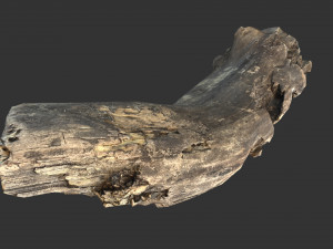 A realistic section of tree trunk 3D Model