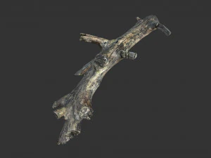 Realistic tree trunks with branches 3D Model
