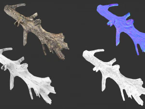 Realistic tree trunks with branches 3D Model