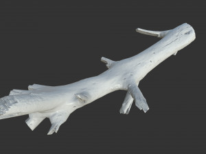 Realistic tree trunks with branches 3D 모델